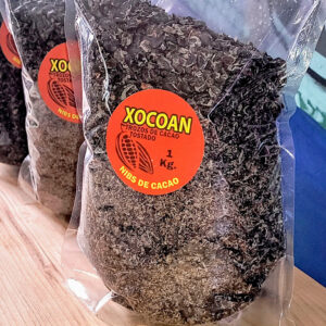 Nibs de cacao tostado